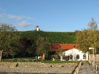 Weingut Haltnau am Bodensee
